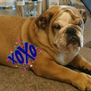 Meet your Posher, Maria elena